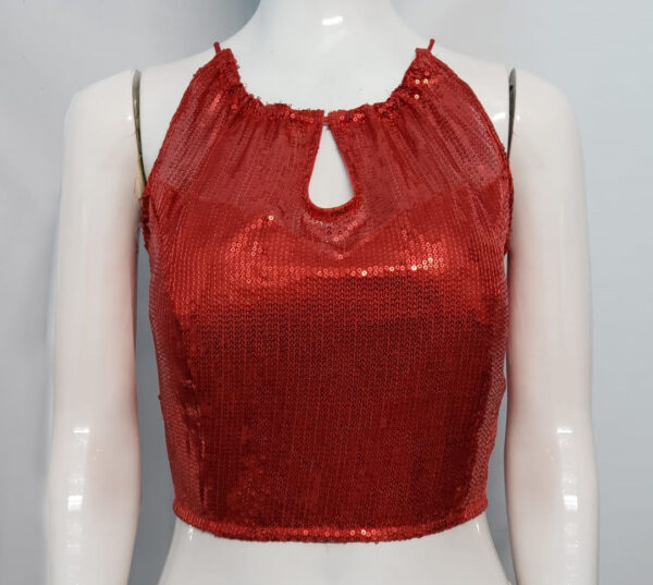 Carmine Red Color Sequin Blouse