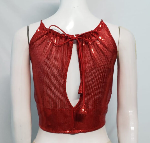 Carmine Red Color Sequin Blouse - Image 2