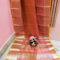 Orange Color Tissue Saree