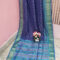 Blue Multi Color Patola Printed Silk Saree