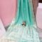 Sea-Green Color Meena Kari Katan Benarasi Saree
